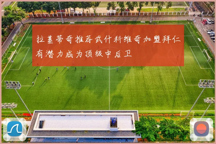 拉基蒂奇推荐武什科维奇加盟拜仁有潜力成为顶级中后卫